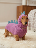 Dragon Dinosaur Winter Dog Clothes Costume Jumper and Hat