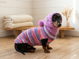 Warm Wool Stylish Clothes Pet Coat, Dog Hoodie, Dachshund Hooded Sweaters, Clothing for dachshund or small dog with sweater with hoodie