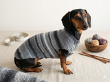 Rainbow sweater for a dachshund or small dog