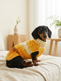 Knitted Melange Wool Pet Jumper Dog Clothes Sweater With Braid, jumper for small dogs, clothes sweater for dogs