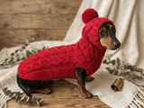 Alpaca wool costume with classic arana sweater and hat for dachshund or small dog, winter set sweater and hat for dogs