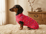Jumper with flowers for a mini dachshund,Sweater with flowers and butterflies for miniature dachshund or small dog.