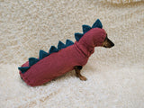 Knitted Dinosaur Dog Costume – Warm Dino Sweater with Matching Hat