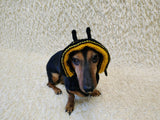 Bee Dog Bucket Hat, summer panama cap with open ears dachshund, pet clothes photo shoot gift dog's mom