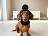 Knitted hat for dog
