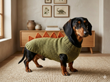 Dog dinosaur knitted clothes sweater, dinosaur sweater for dogs, original dog clothes dinosaur sweater