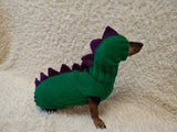 Matching Dog Sweater and Hat – Adorable Dinosaur Pet Apparel