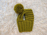 Hat for dog with pompom and holes for the ears