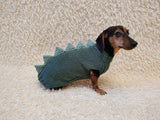 Cozy Dinosaur Dog Jumper – Unique Pet Gift for Small Dogs