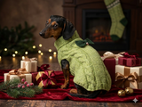 Christmas sweater with bow for dachshund or small dog
