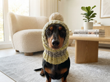 Winter gray hat with big pompom for small dog, hat for dachshund with pompom