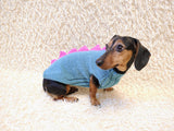 Dinosaur Dog Sweater - Hand-Knitted Dachshund Outfit