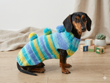 Bright sweater with pompoms for wiener dog, Mini Dachshund Jumper, Clothes Dog Sweater, Sweater for miniature dachshund or small dog.