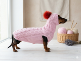 Costume for mini dachshund or small dog knitted sweater and hat