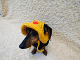 Duck Summer sun hat dogs with holes for ears. Hand knitted sun cap dachshund. Stylish Pet Photo Props and Gift Dog Moms