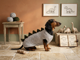 Dachshund Dinosaur Knit Sweater | Handmade Stegosaurus Dog Coat