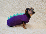 Knitted Dinosaur Costume for Dogs - Custom Dachshund Sweater