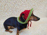 Watermelon Dog Bucket Hat, summer panama cap with open ears dachshund, pet clothes photo shoot gift dog's mom