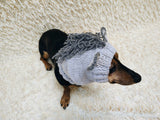 Knitted Donkey Snood Hat for Dachshund - Handmade Dog Costume with Ears and Mane
