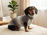 Knitted Melange Wool Pet Jumper Dog Clothes Sweater With Braid, jumper for small dogs, clothes sweater for dogs