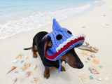 Shark Summer sun hat dogs with holes for ears. Hand knitted sun cap dachshund. Stylish Pet Photo Props and Gift Dog Moms