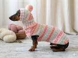 Clothes suit for mini dachshund or small dog knitted sweater and hat