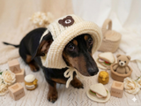 Teddy Bear Summer sun hat dogs with holes for ears. Hand knitted sun cap dachshund. Stylish Pet Photo Props and Gift Dog Moms