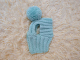 Hat for dog with pompom and holes for the ears