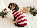 Christmas striped sweater with fir trees and snowflakes for miniature dachshund
