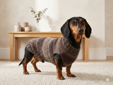 Size L Warm coat for dachshund puppy or small dog, knitted jumper for puppy dachshund, dachshund puppy clothes, wool sweater for small dog