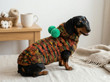 Warm bright outfit for pets hoodie with pompoms, dog dachshund bright hoodie with pompoms