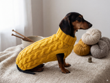 Knitted sweater with aran for mini dachshund or small dog