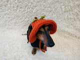 Pumpkin Panama Dog Hat Halloween Summer Hat with Open Ears for Dachshund Pet Clothes Photo Shoot Gift for Dog Mom