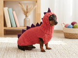 Dinosaur Dragon Costume Sweater and Hat Zoo Animal Clothes