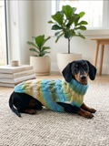 Knitted Melange Wool Pet Jumper Dog Clothes Sweater With Braid, jumper for small dogs, clothes sweater for dogs