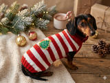 Striped Christmas Dog Sweater with Tree