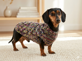 Wool dog jumper,dachshund cloches wool sweater