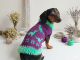 Dinosaur knitted sweater for dachshund or small dog, dinosaur dog sweater, dino sweater