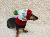 Spruce branch Paw Print Dog Hat PomPom, Designer Pet Party Clothes outfit, Warm Winter knitted Dachshund cap with Pattern, gift dogs lover