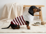 Handmade striped knitted sweater for dog, clothes for dachshund, sweater for dog