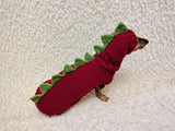 Dinosaur Dog Sweater and Hat Set – Handmade Knitted Pet Costume