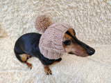 Dog hat with pom poms wool, warm hat for dachshund, wool hat for small dogs