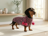 Wool aran sweater for mini dachshund or small dog, dachshund puppy sweater, terrier sweater, small dog sweater