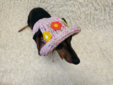 Crochet Dog Sun Hat with Flower Appliqué - Handmade Dachshund Bucket Hat - Floral Pet Summer Accessory - Cute Dog Bonnet with Ear Holes