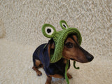Frog Dog Bucket Hat, summer panama cap with open ears dachshund, pet clothes photo shoot gift dog's mom