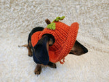 Pumpkin Panama Dog Hat Halloween Summer Hat with Open Ears for Dachshund Pet Clothes Photo Shoot Gift for Dog Mom