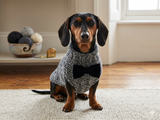 Dachshund or small dog gray sweater with black bow