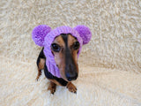 Hat for dog with two pompons, hat for dachshund with two pompons