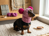 Pet hat with two pompoms, dog dachshund warm clothes outfit hat with pompoms