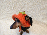 Pumpkin Panama Dog Hat Halloween Summer Hat with Open Ears for Dachshund Pet Clothes Photo Shoot Gift for Dog Mom